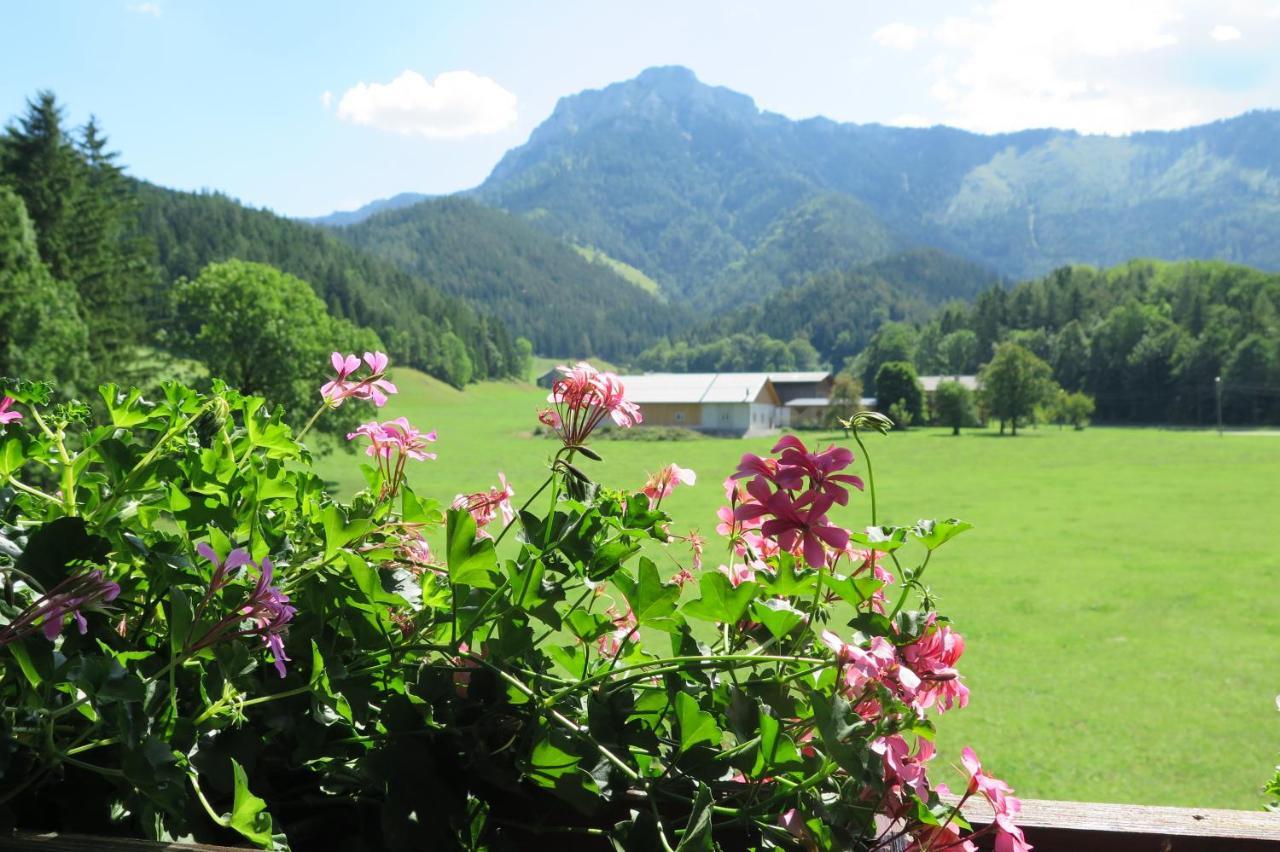 Gaestehaus Wasserburger Apartamento Kernhof Exterior foto